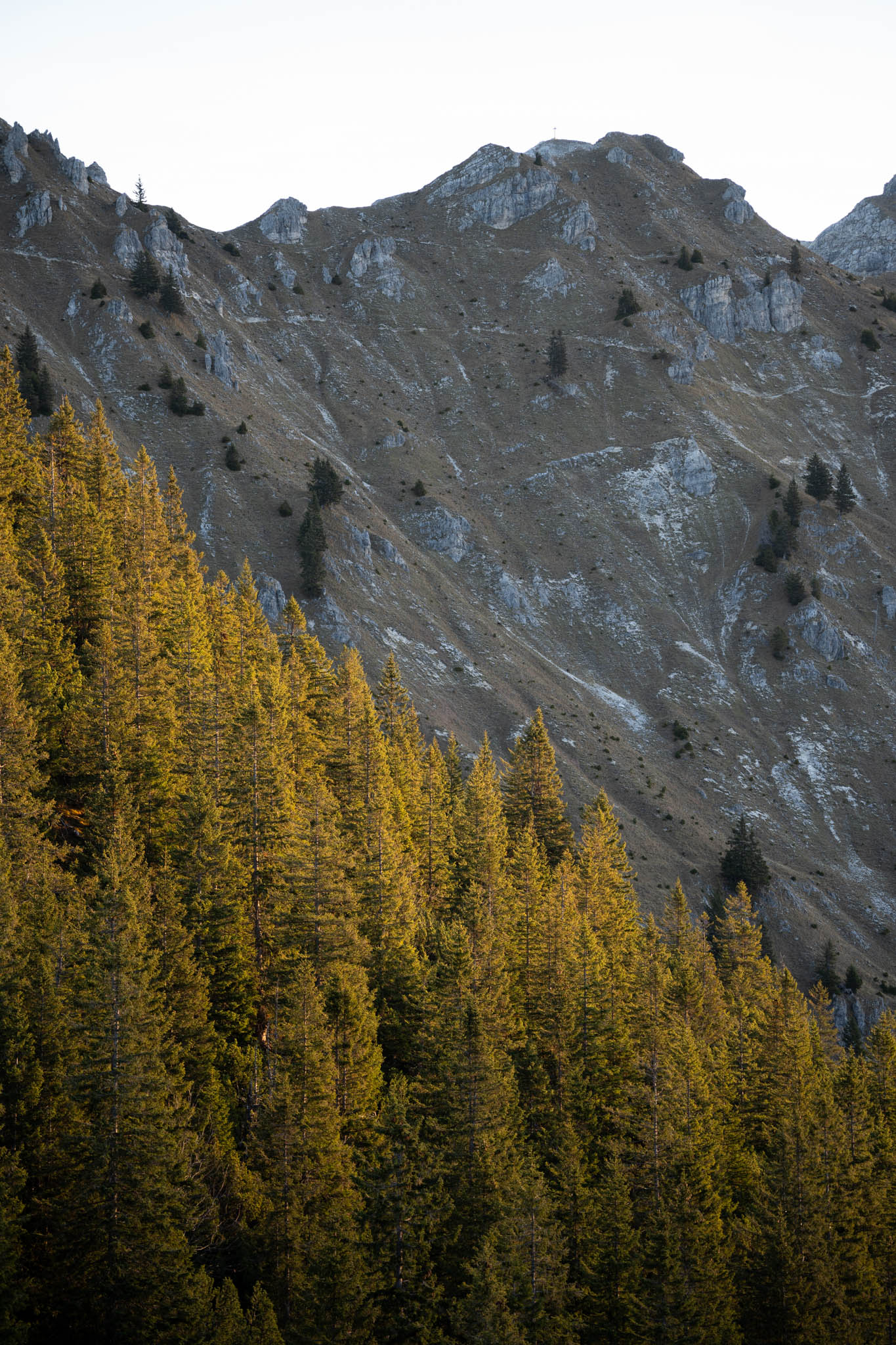 2024_11_10_SoiernumrahmungPlus_Blosize-042