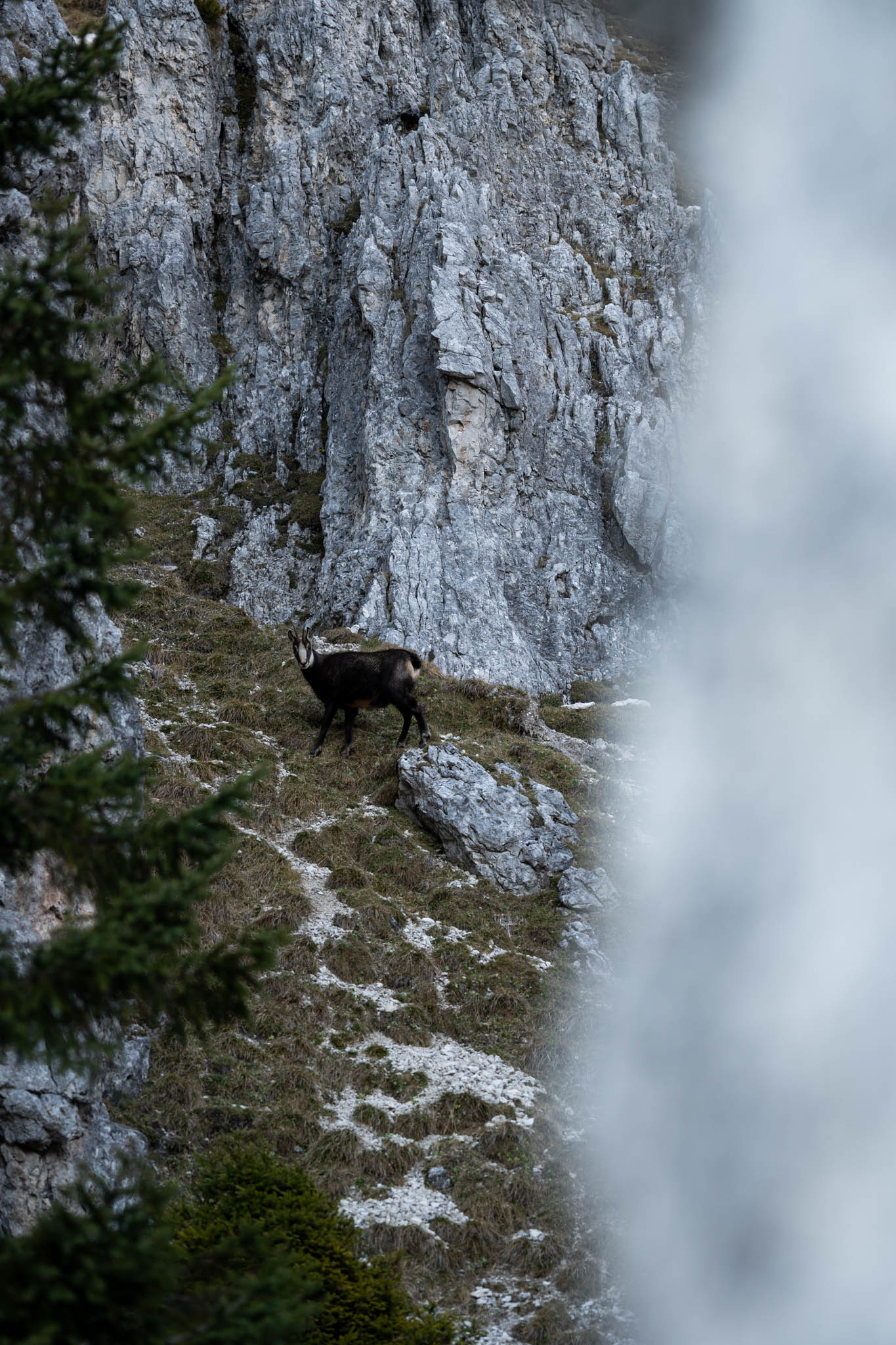 2024_11_10_SoiernumrahmungPlus_Blosize-044