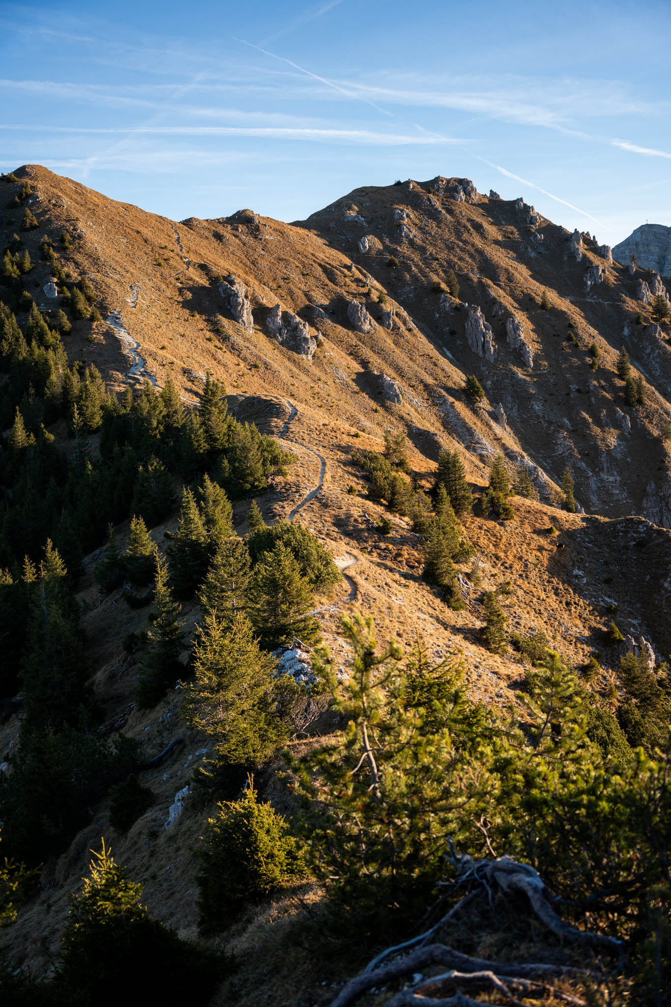 2024_11_10_SoiernumrahmungPlus_Blosize-056