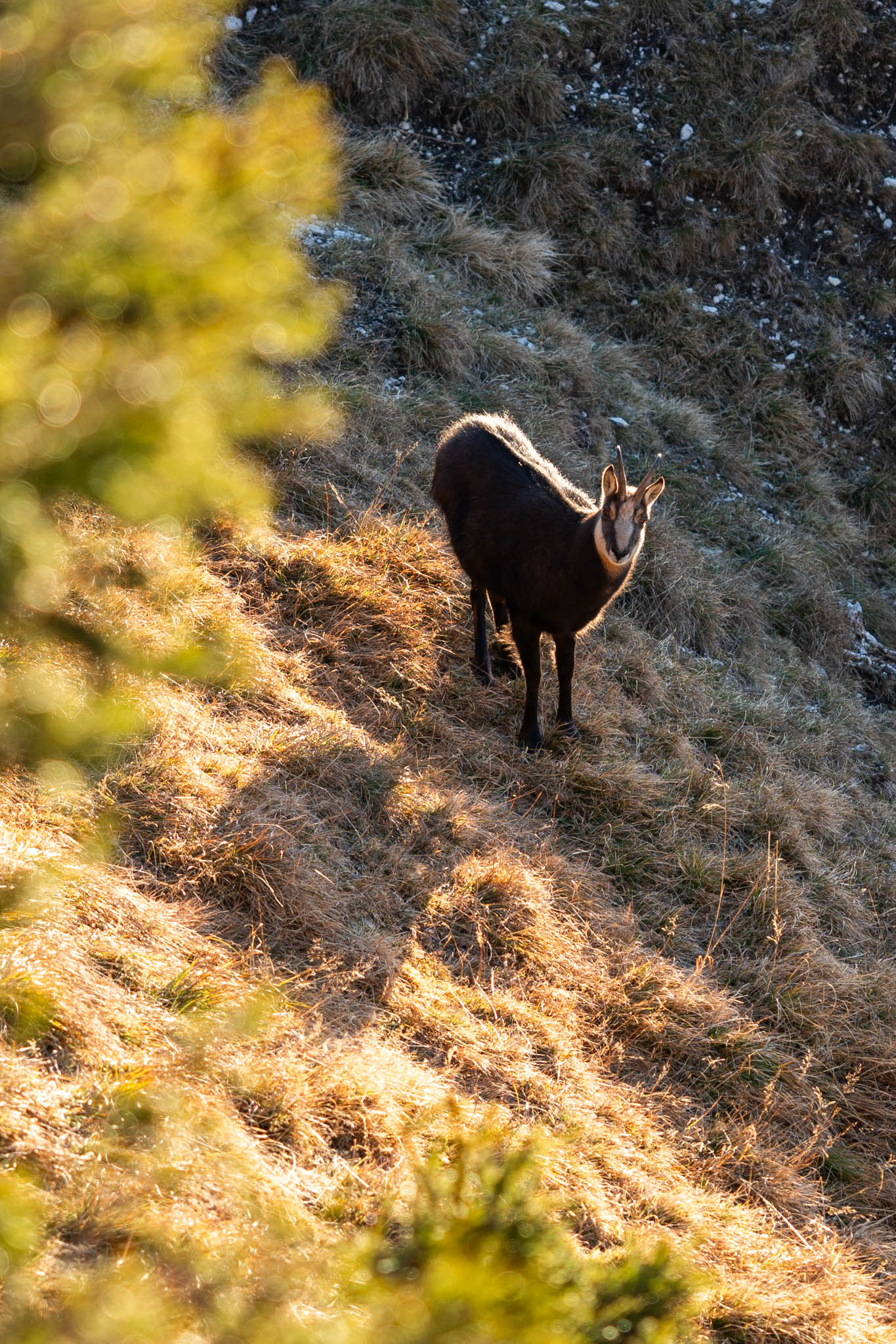 2024_11_10_SoiernumrahmungPlus_Blosize-059