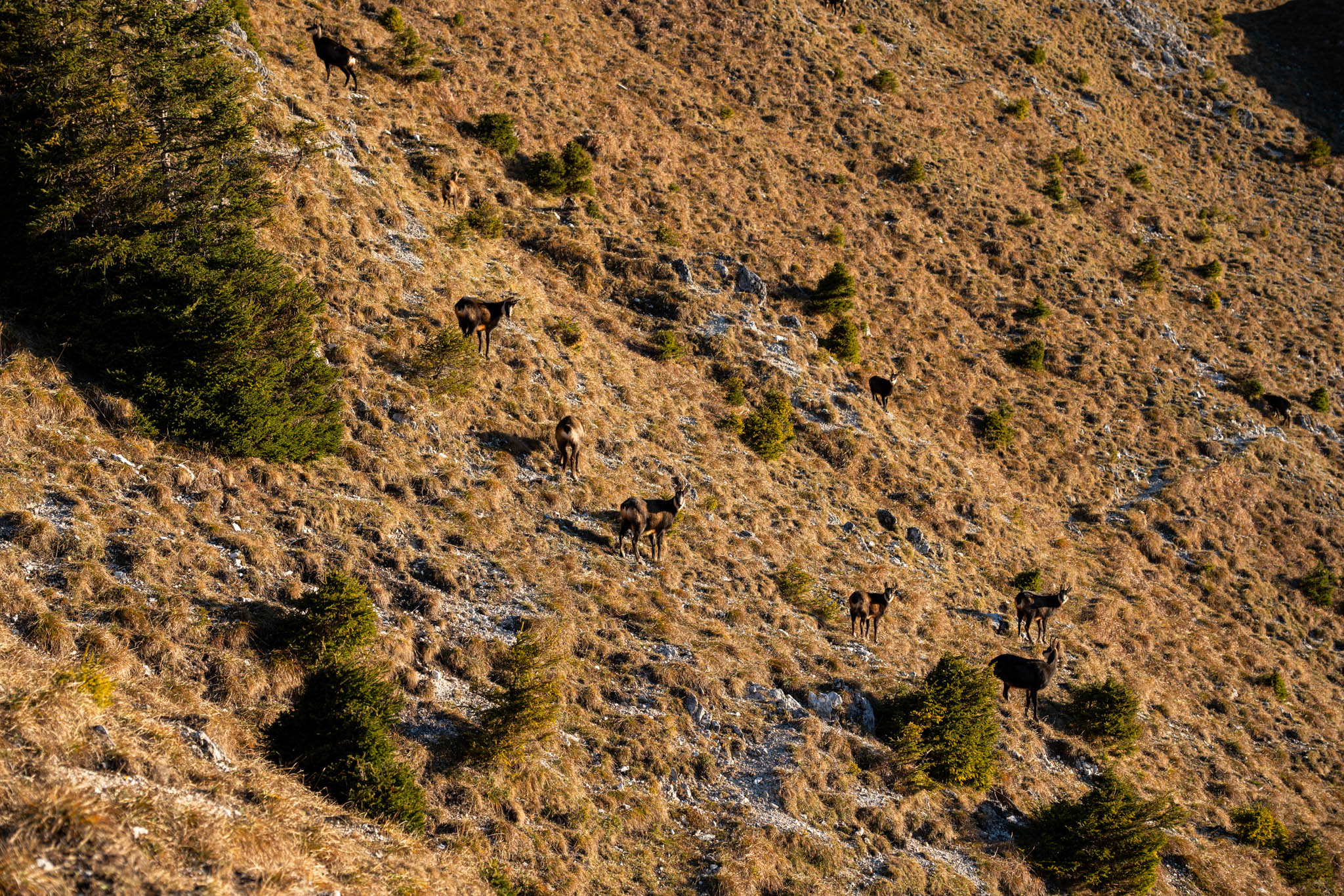 2024_11_10_SoiernumrahmungPlus_Blosize-061