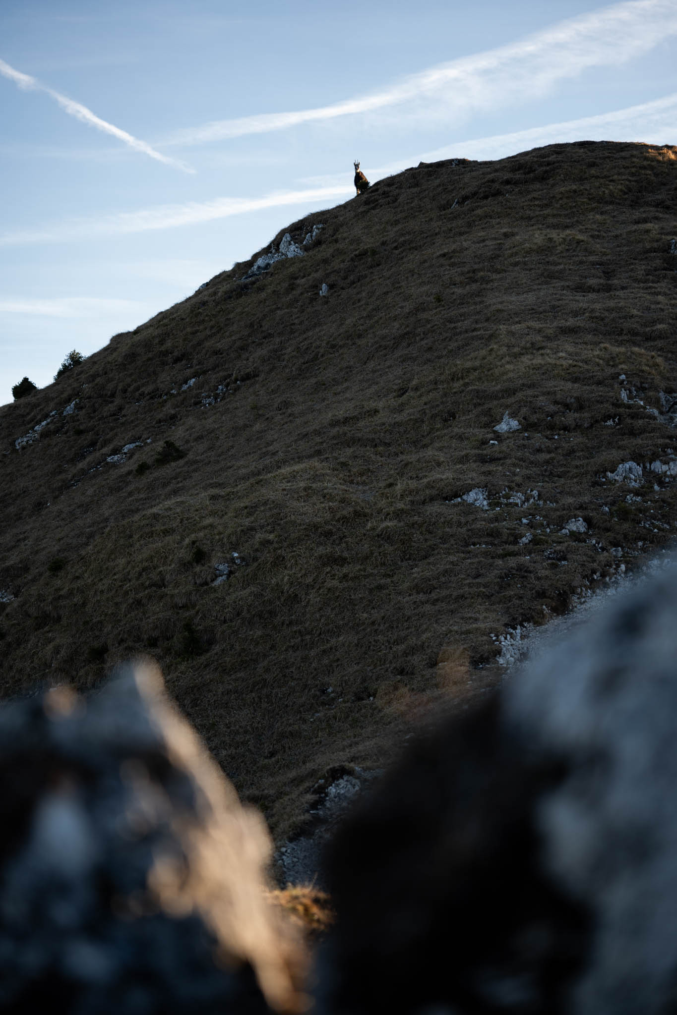 2024_11_10_SoiernumrahmungPlus_Blosize-066