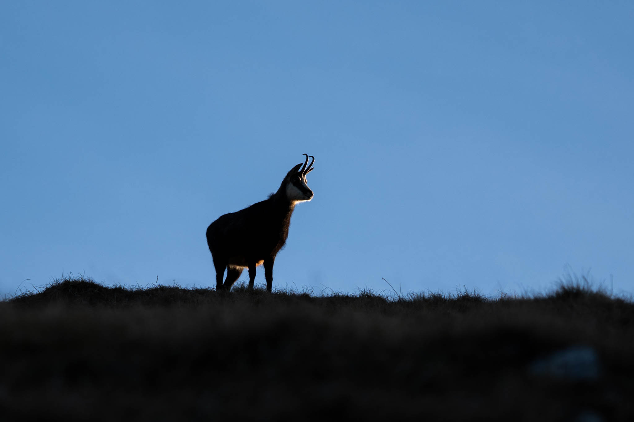 2024_11_10_SoiernumrahmungPlus_Blosize-070