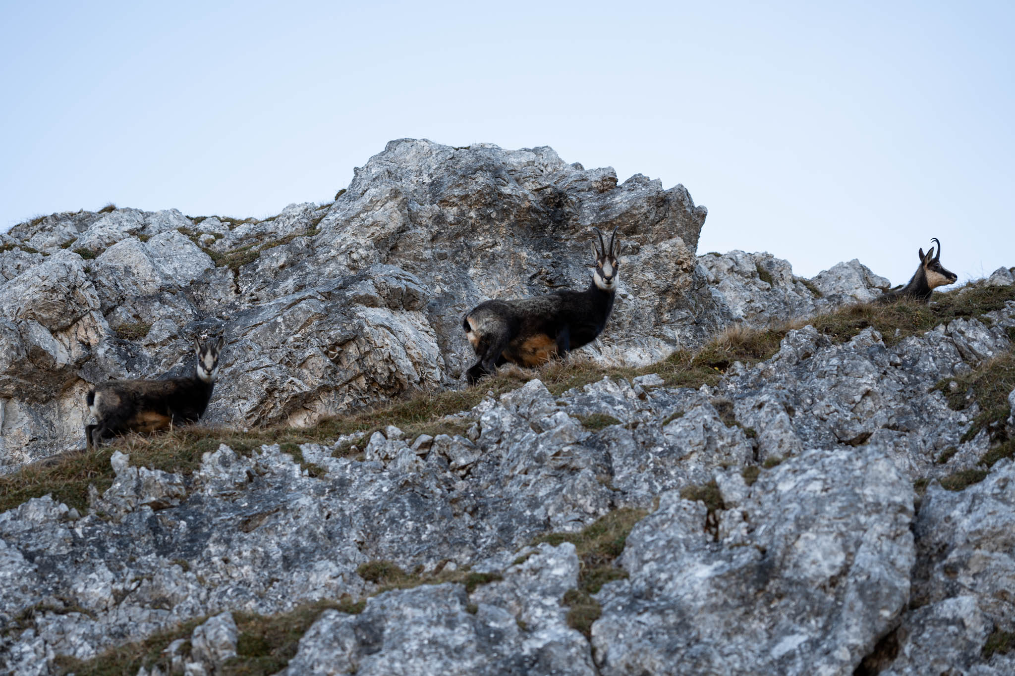 2024_11_10_SoiernumrahmungPlus_Blosize-074