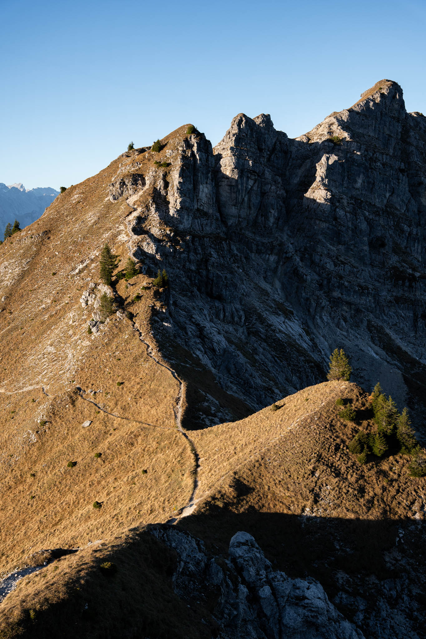 2024_11_10_SoiernumrahmungPlus_Blosize-077