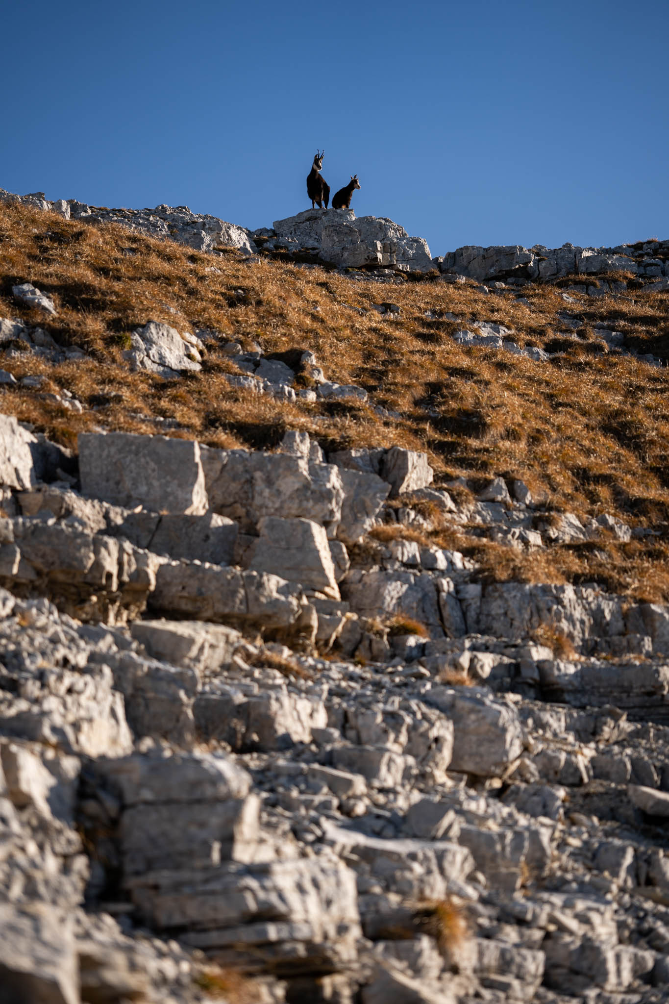 2024_11_10_SoiernumrahmungPlus_Blosize-097