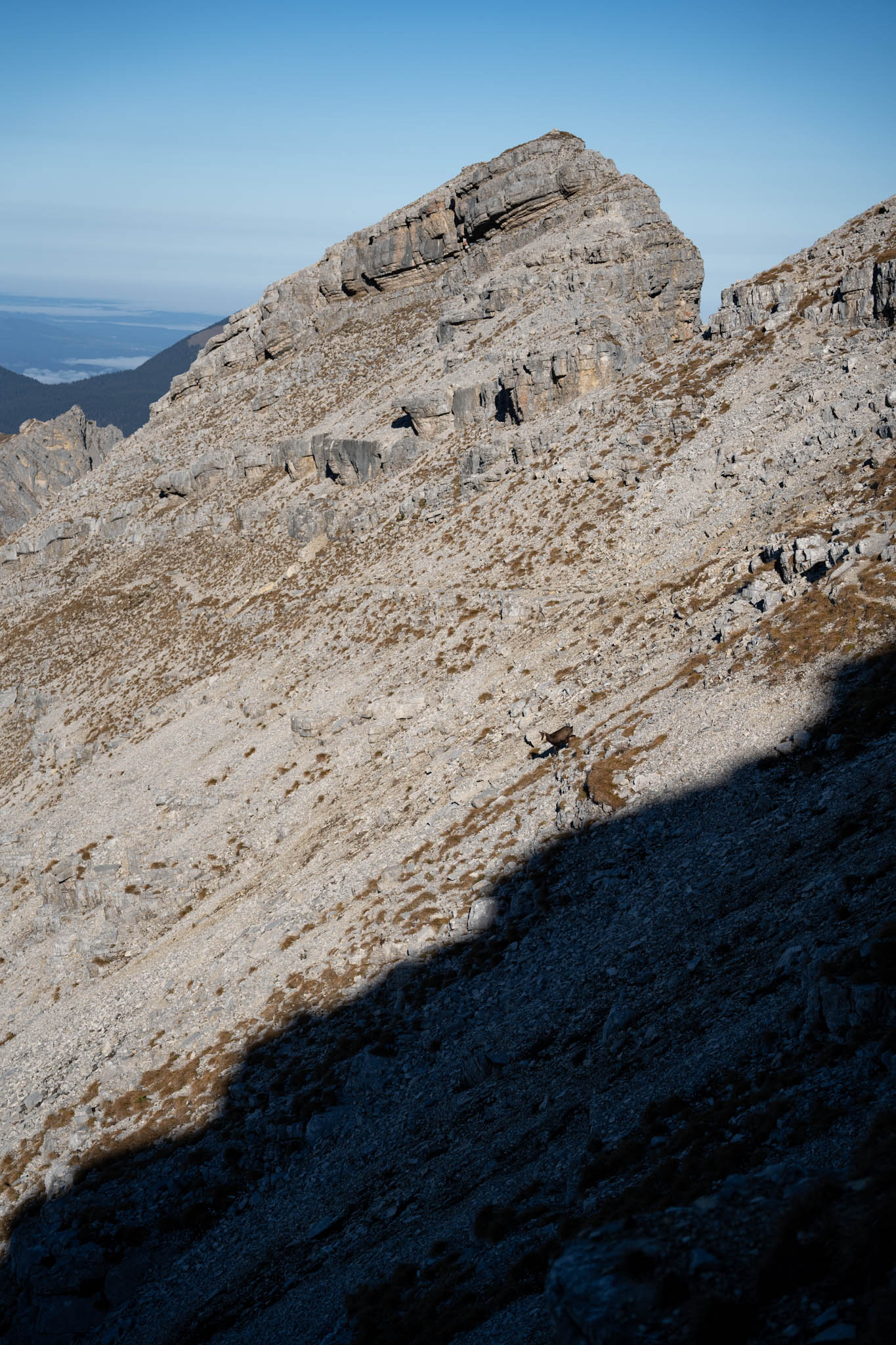 2024_11_10_SoiernumrahmungPlus_Blosize-100