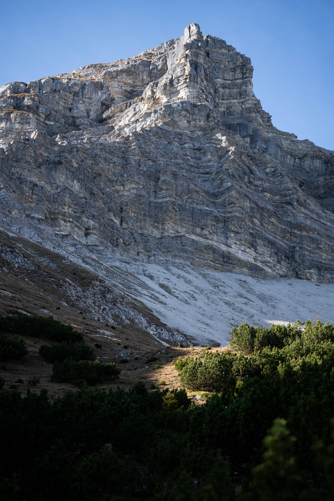 2024_11_10_SoiernumrahmungPlus_Blosize-122