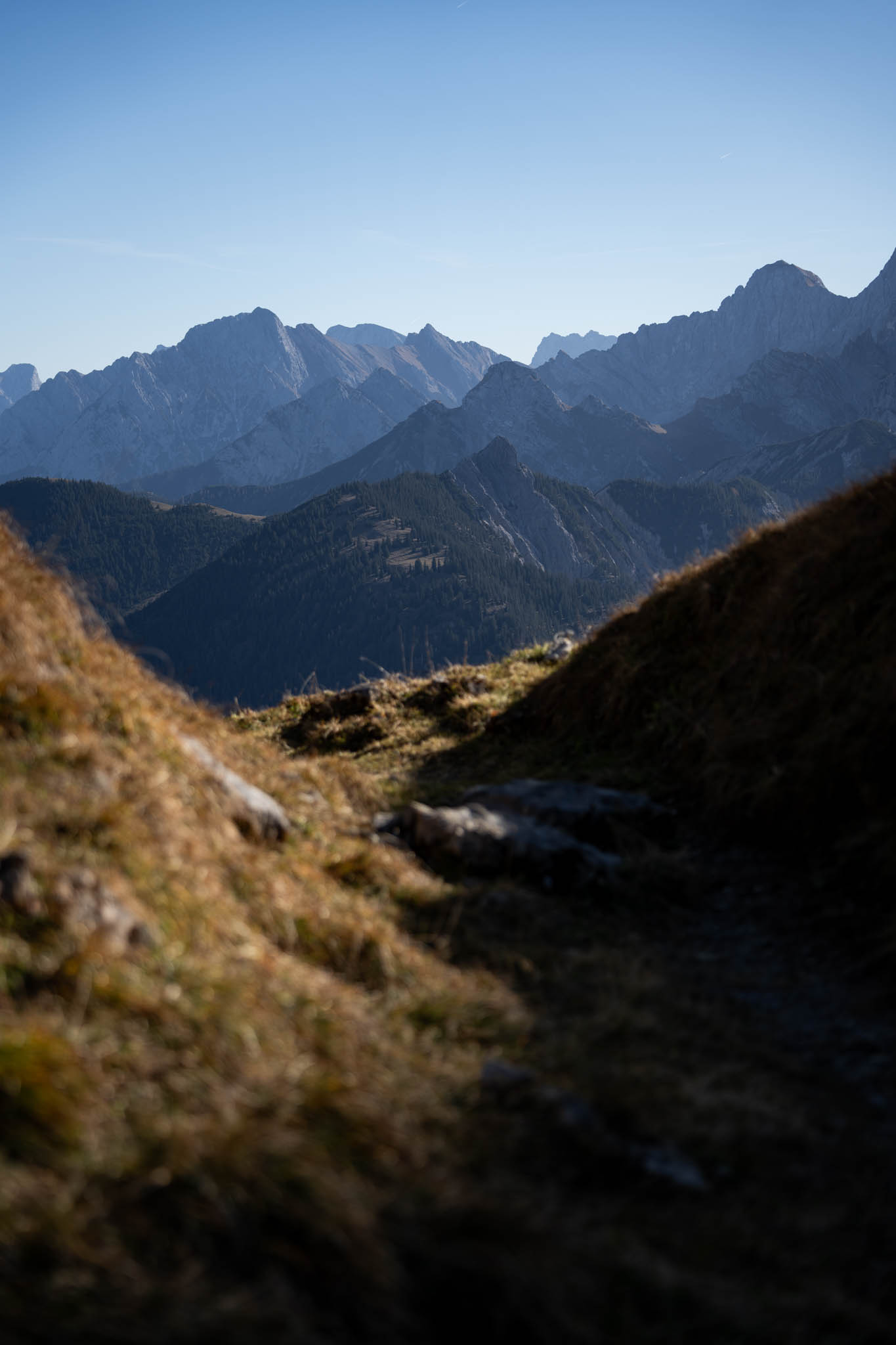 2024_11_10_SoiernumrahmungPlus_Blosize-124