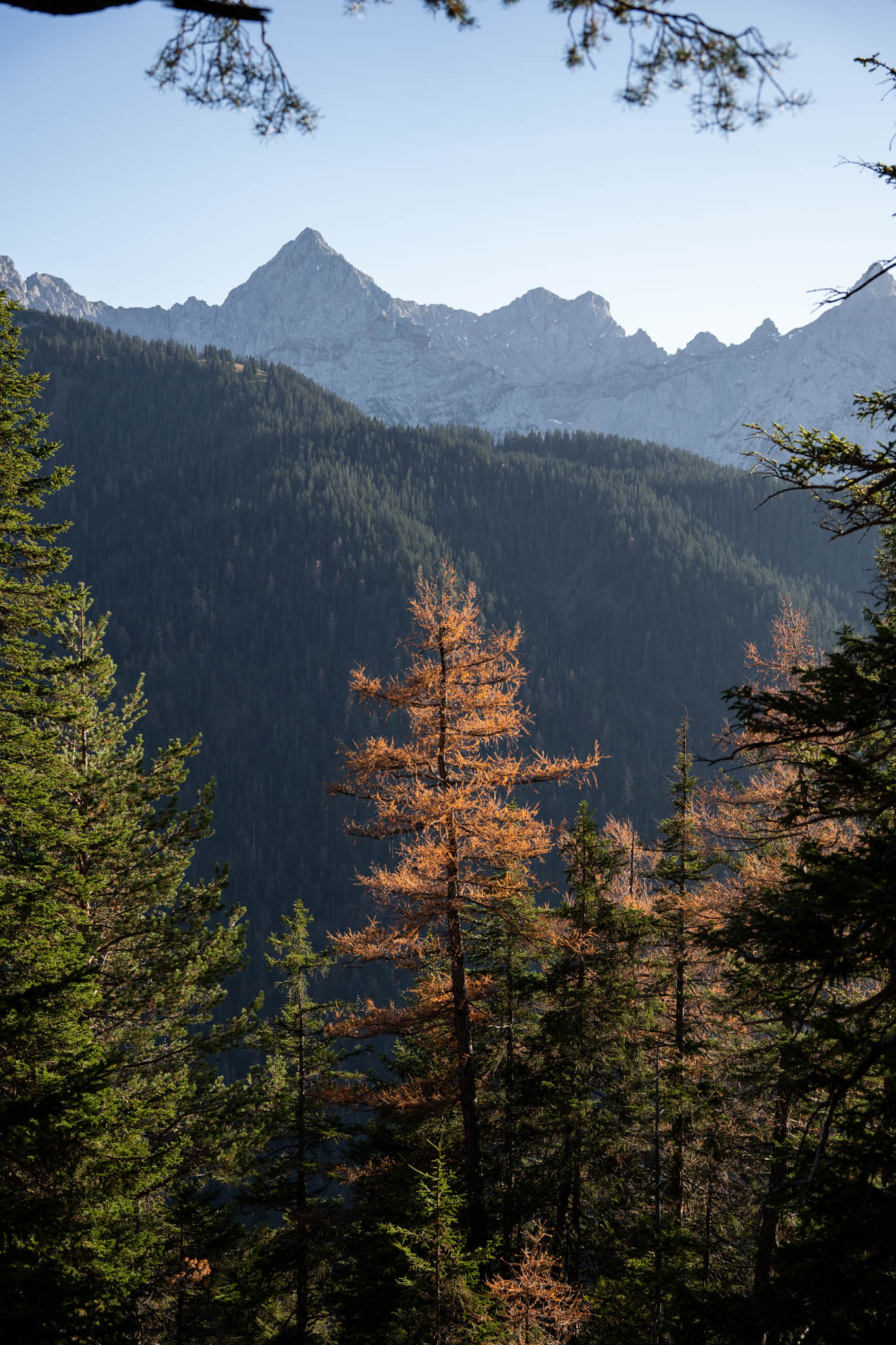 2024_11_10_SoiernumrahmungPlus_Blosize-162