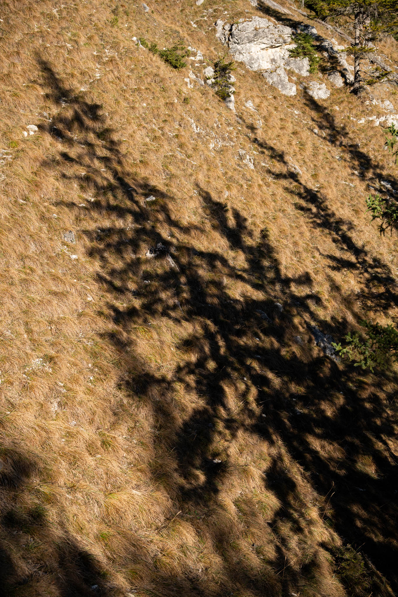 2024_11_10_SoiernumrahmungPlus_Blosize-163