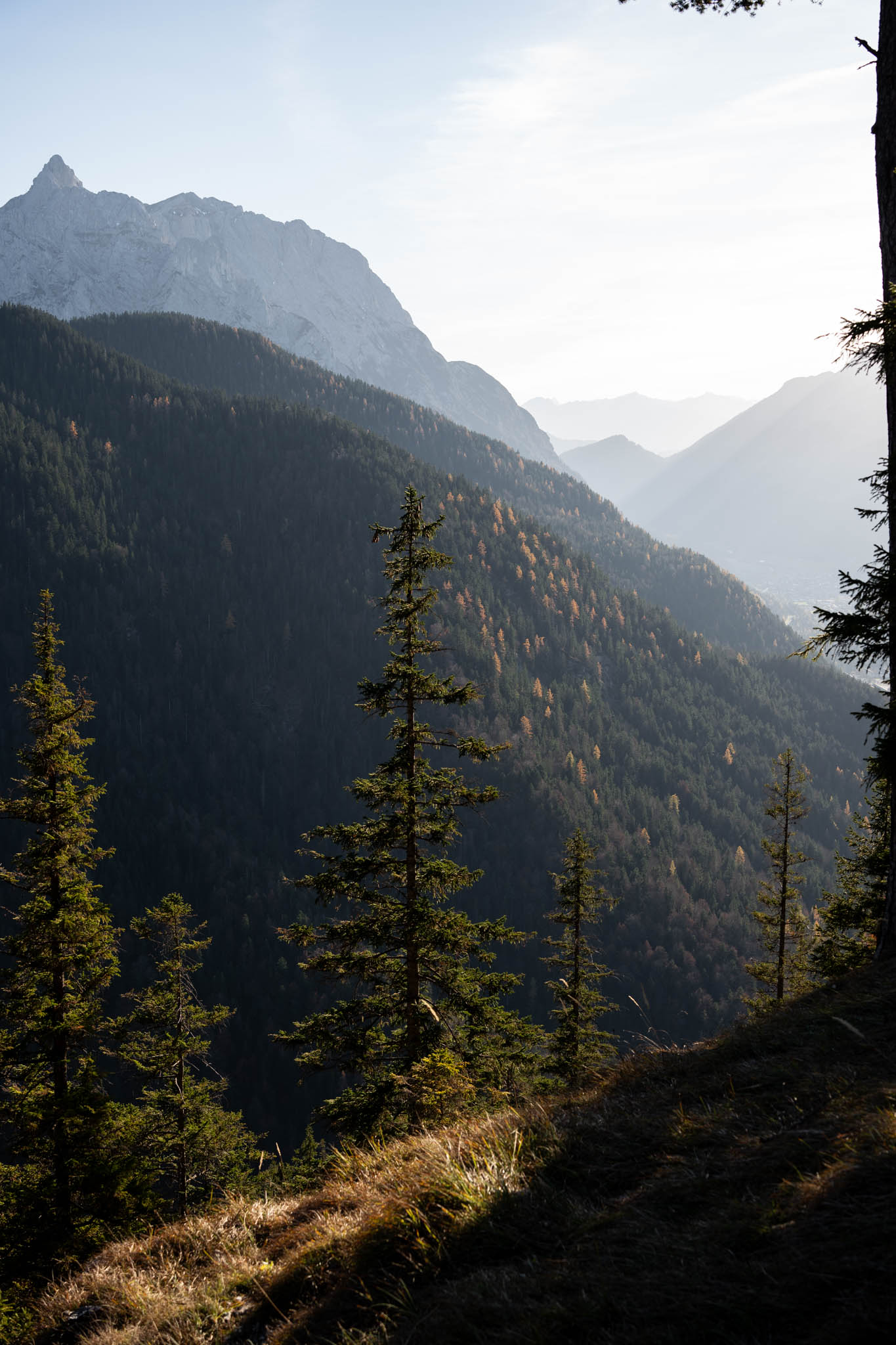 2024_11_10_SoiernumrahmungPlus_Blosize-165