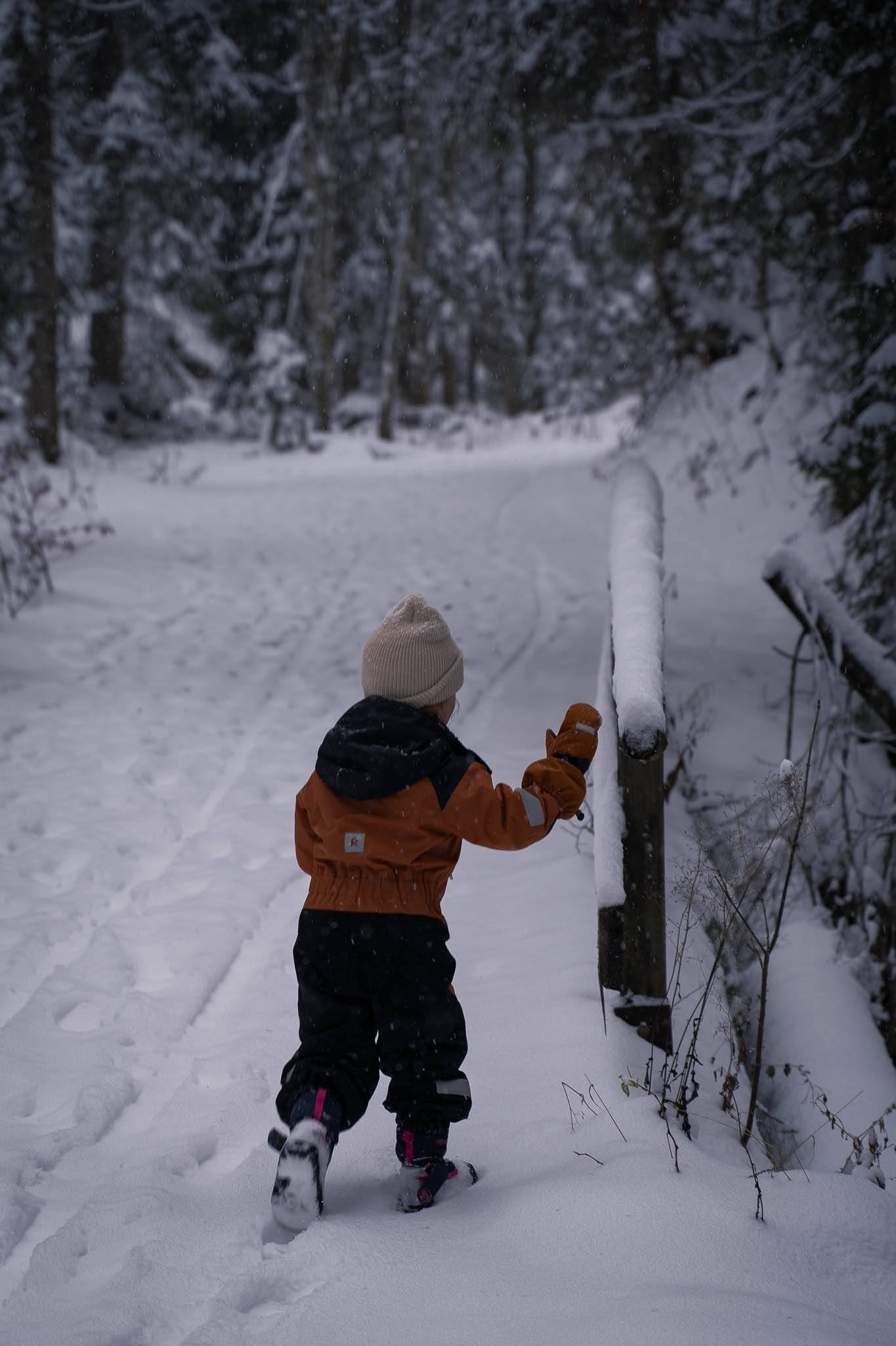 2025_11_21_Blankensteinhuette_Web-09