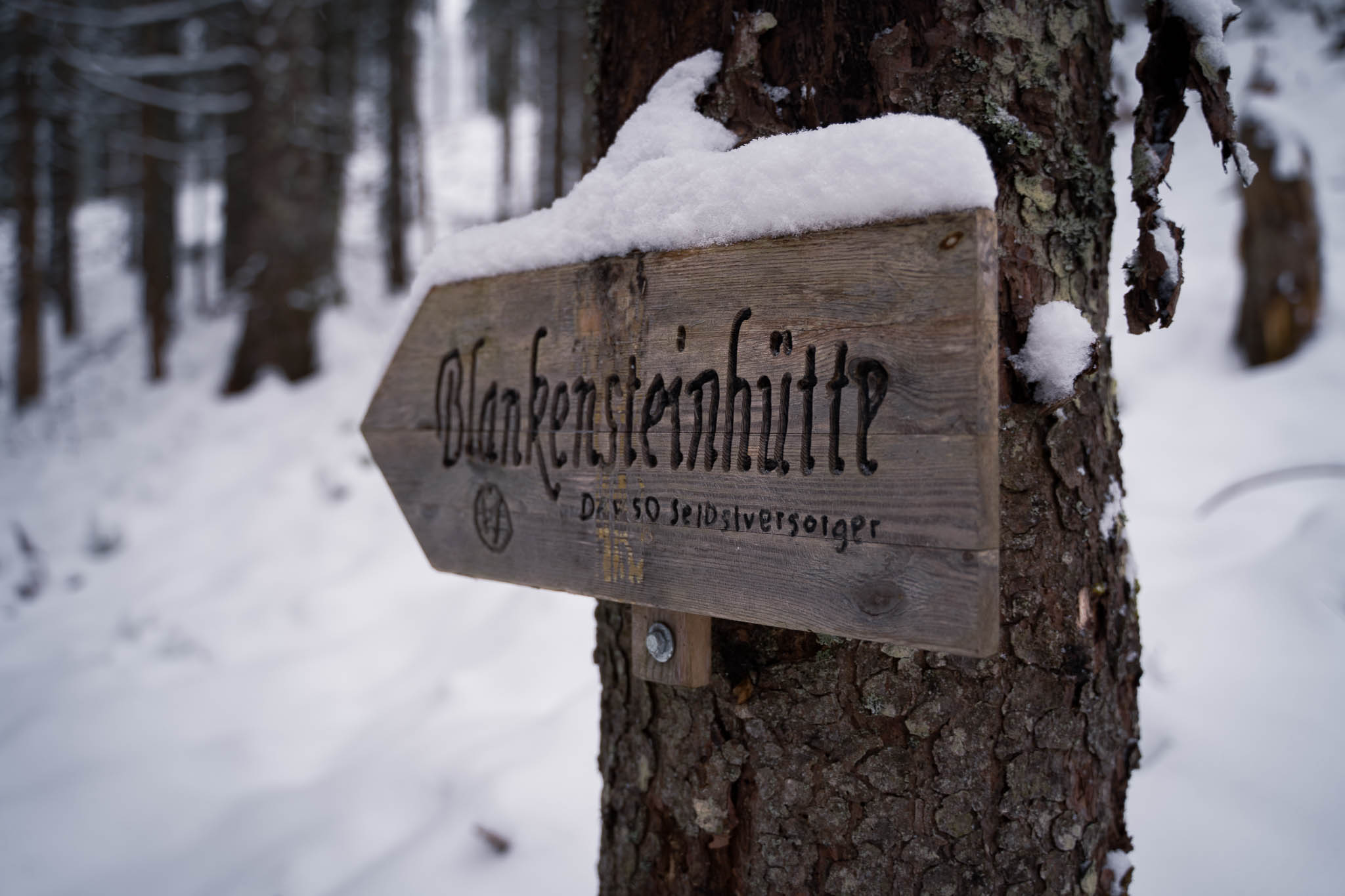 2025_11_21_Blankensteinhuette_Web-11