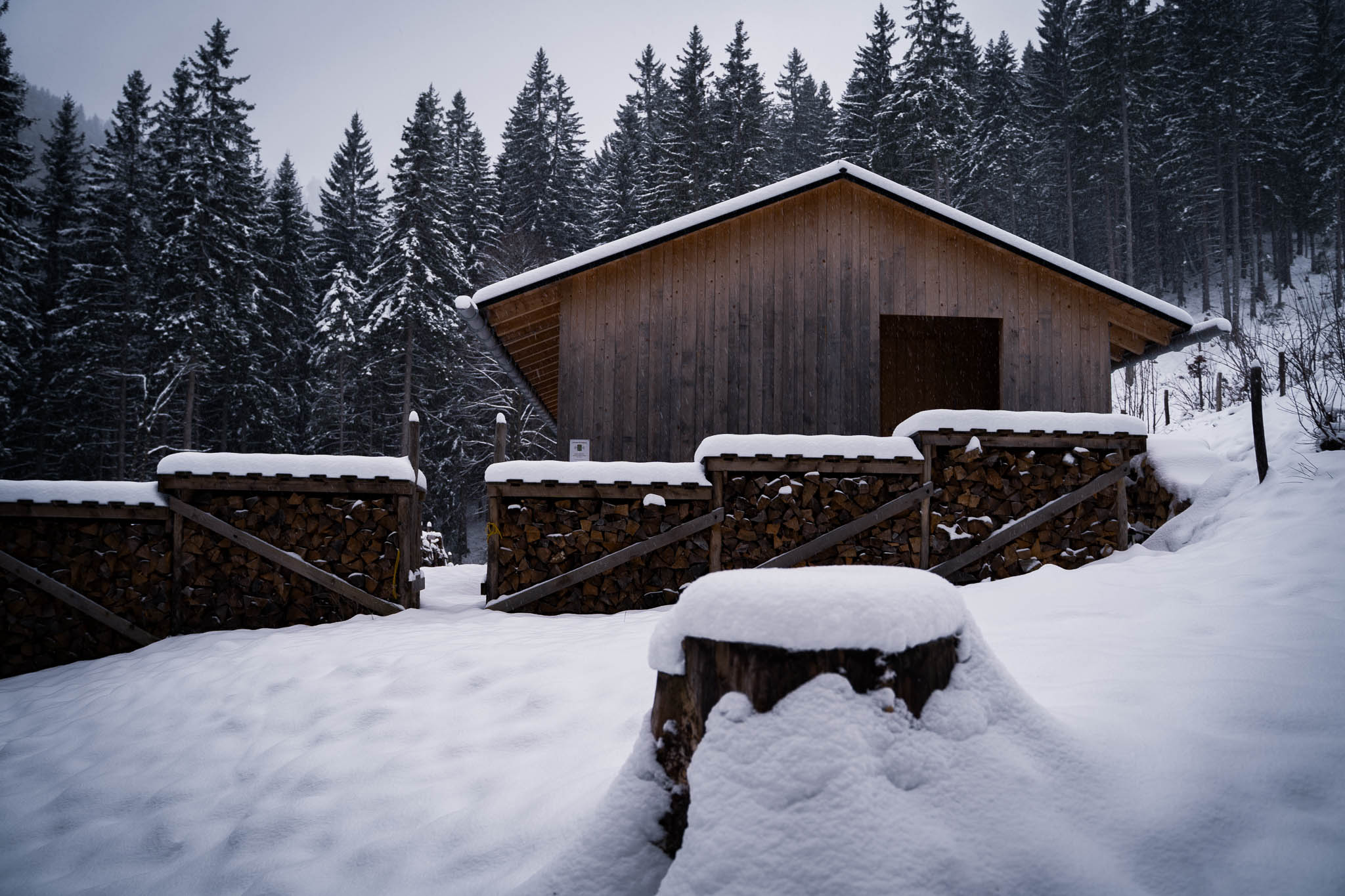 2025_11_21_Blankensteinhuette_Web-13