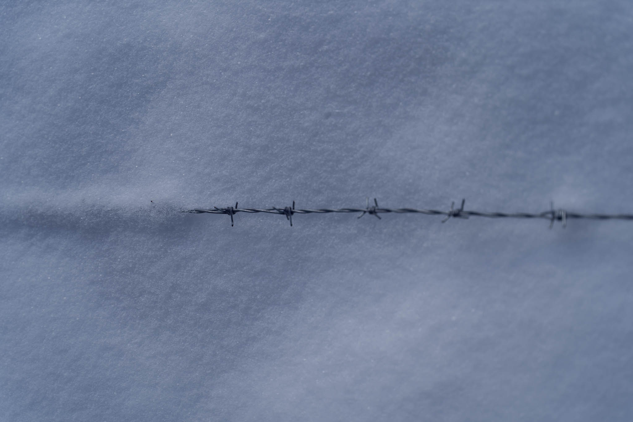 2025_11_21_Blankensteinhuette_Web-39