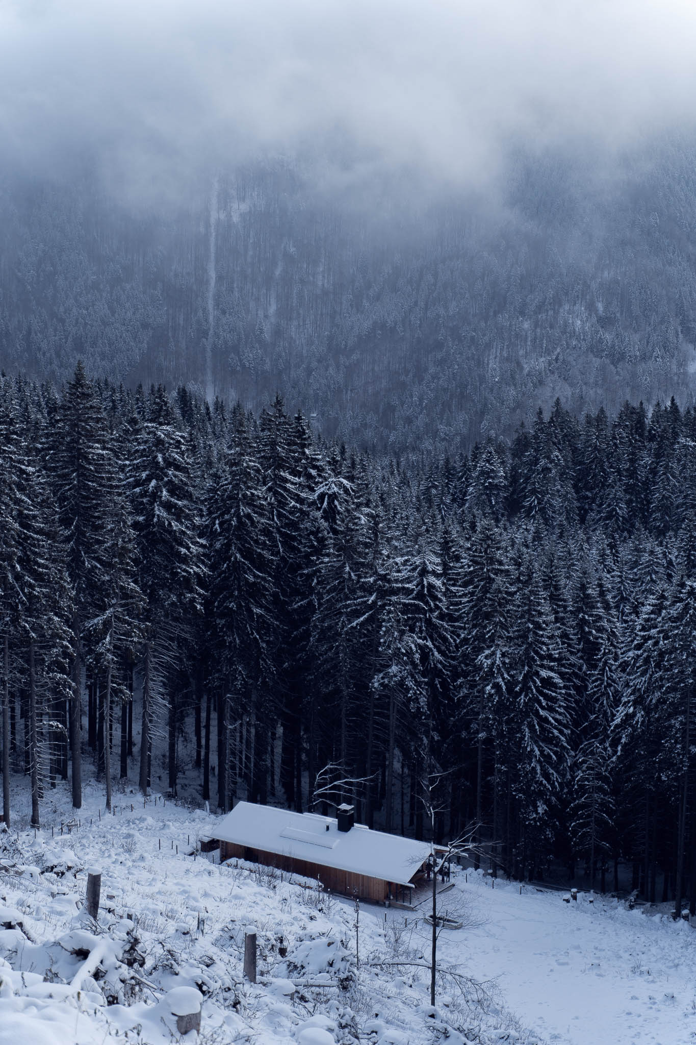 2025_11_21_Blankensteinhuette_Web-42