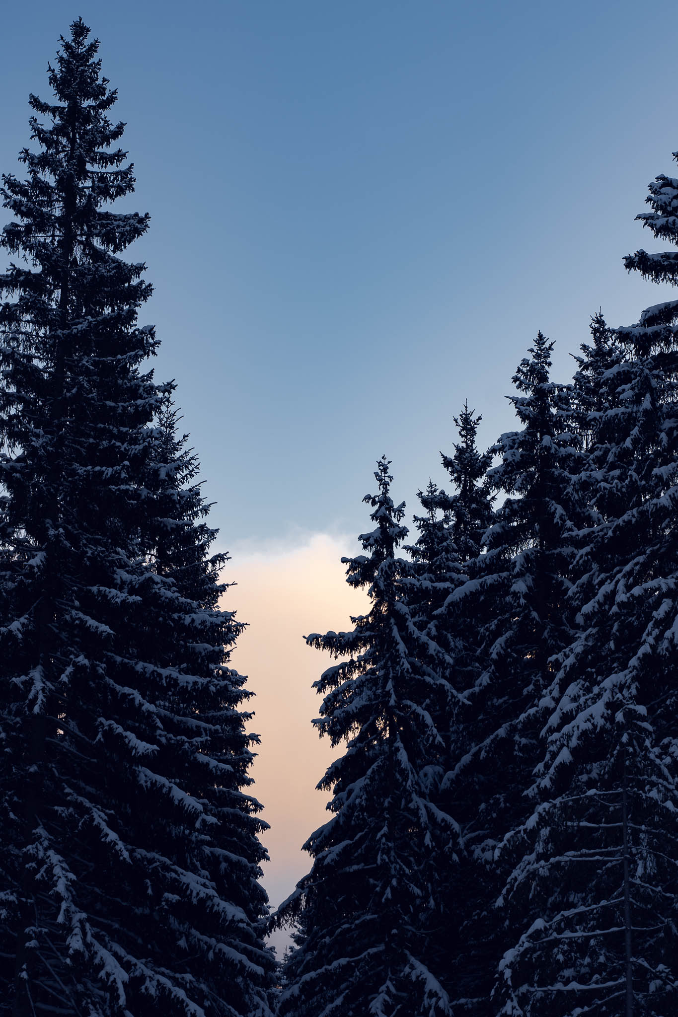 2025_11_21_Blankensteinhuette_Web-43