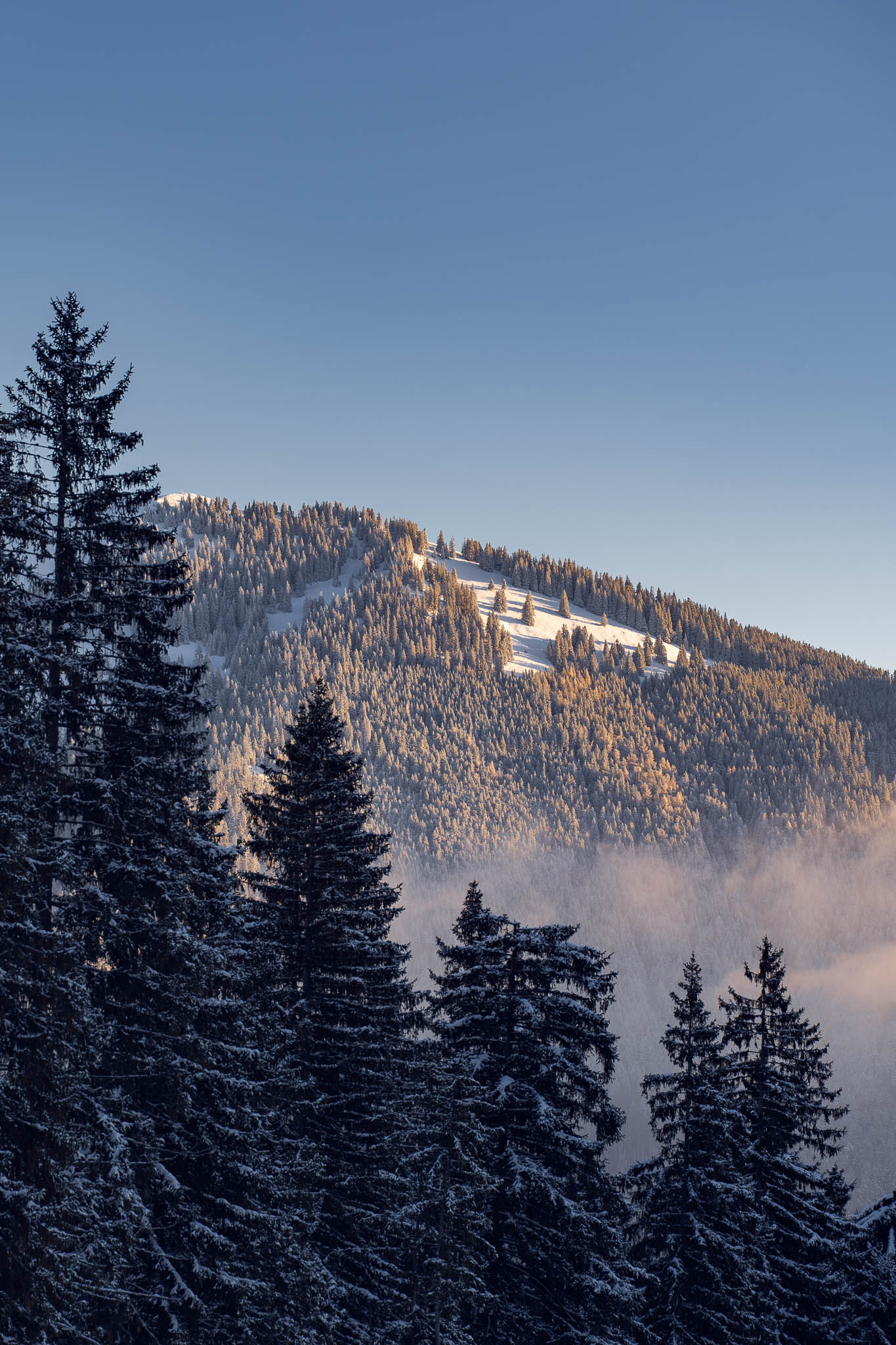 2025_11_21_Blankensteinhuette_Web-45