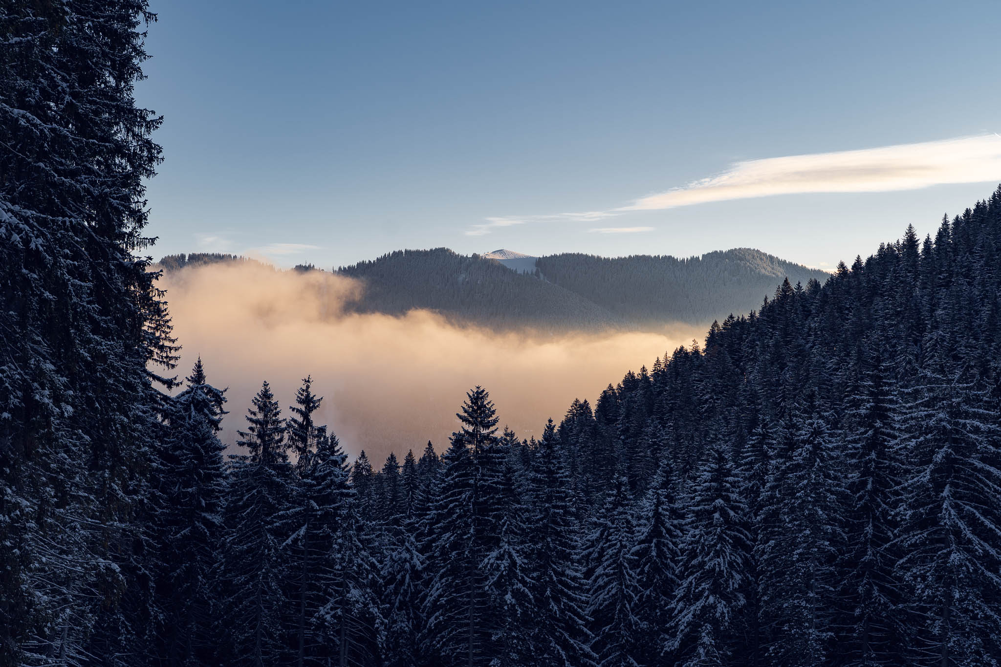 2025_11_21_Blankensteinhuette_Web-46