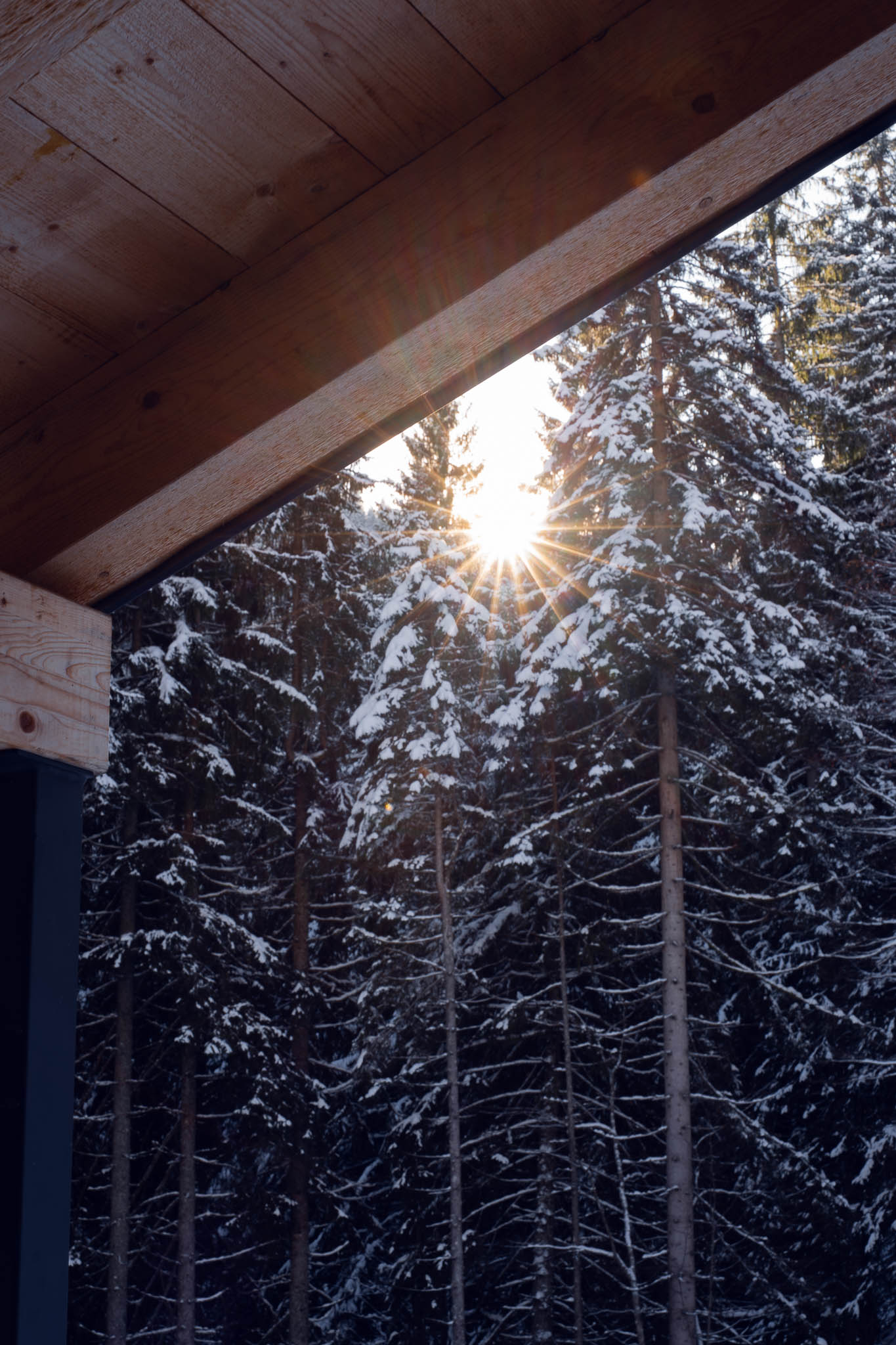 2025_11_21_Blankensteinhuette_Web-47