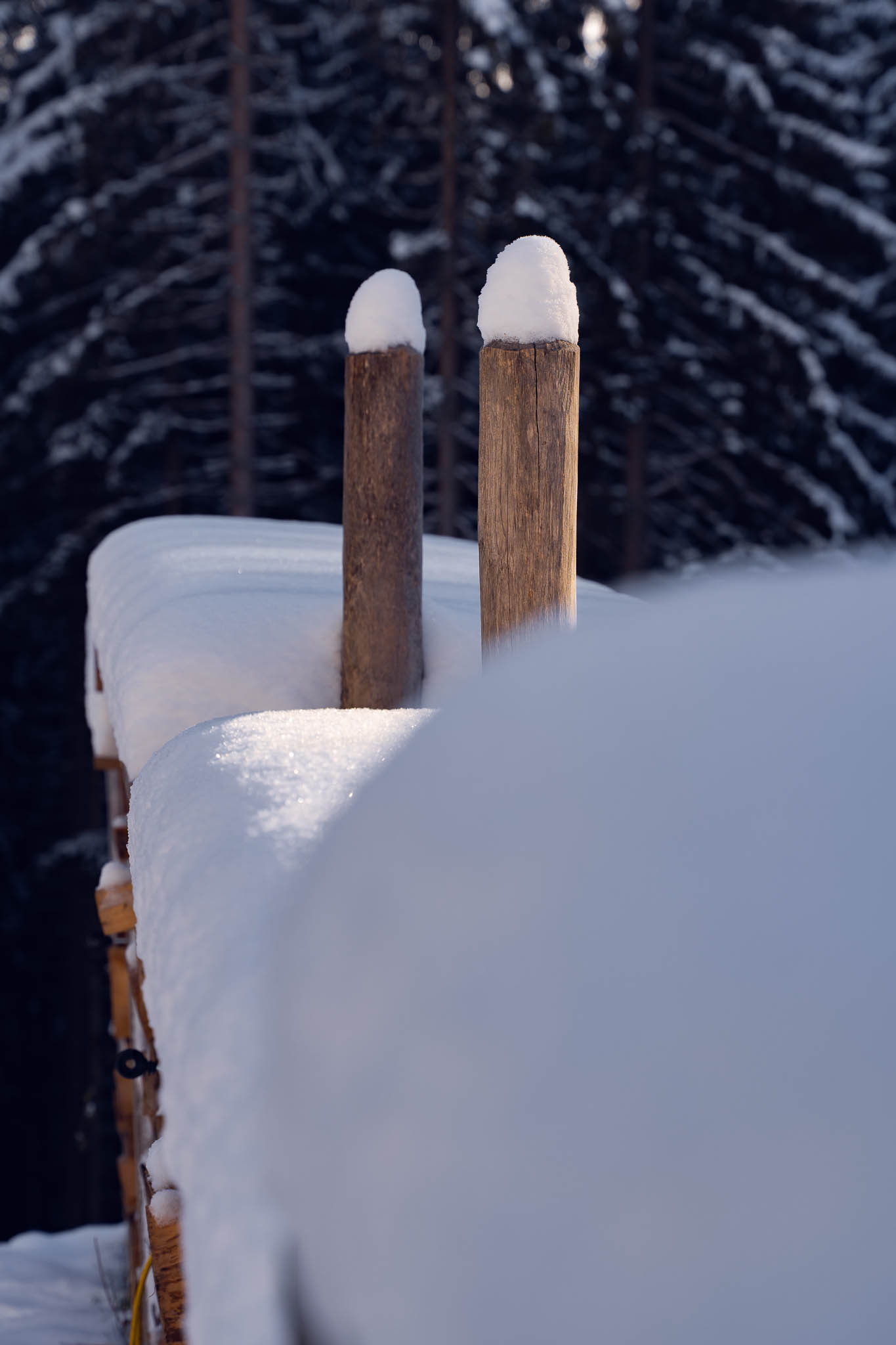 2025_11_21_Blankensteinhuette_Web-48