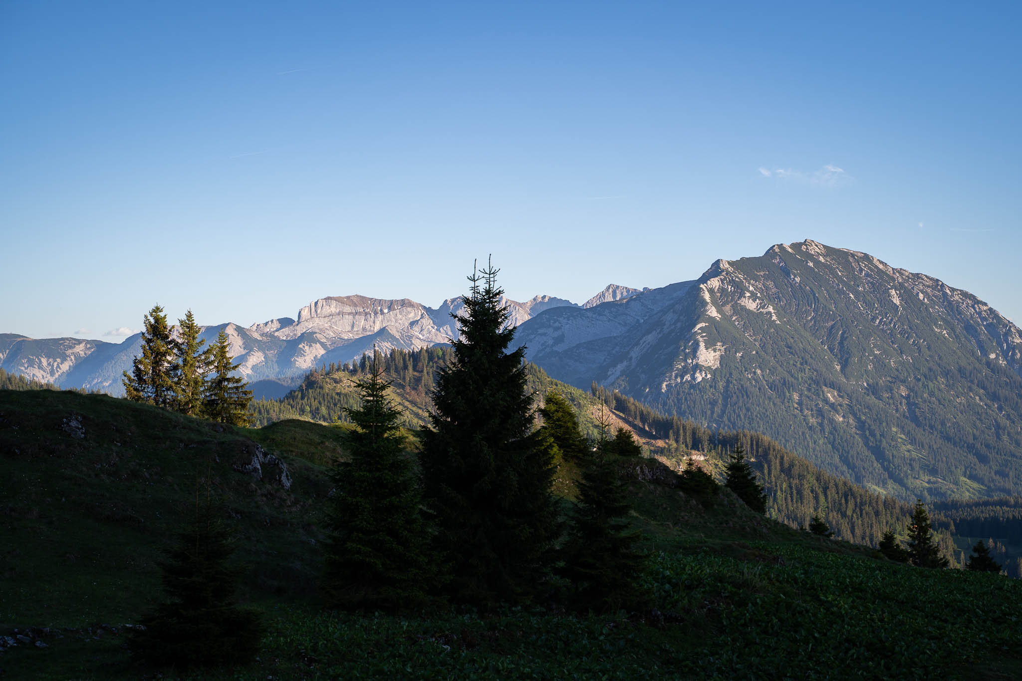 2026_06_Schildnstein_Web-13