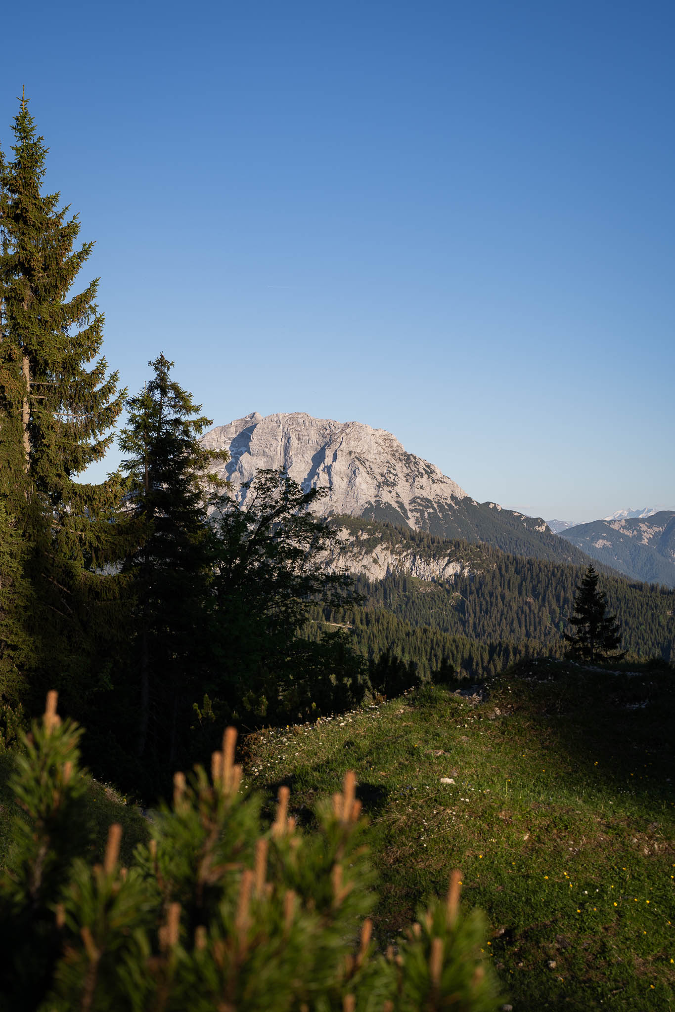 2026_06_Schildnstein_Web-14