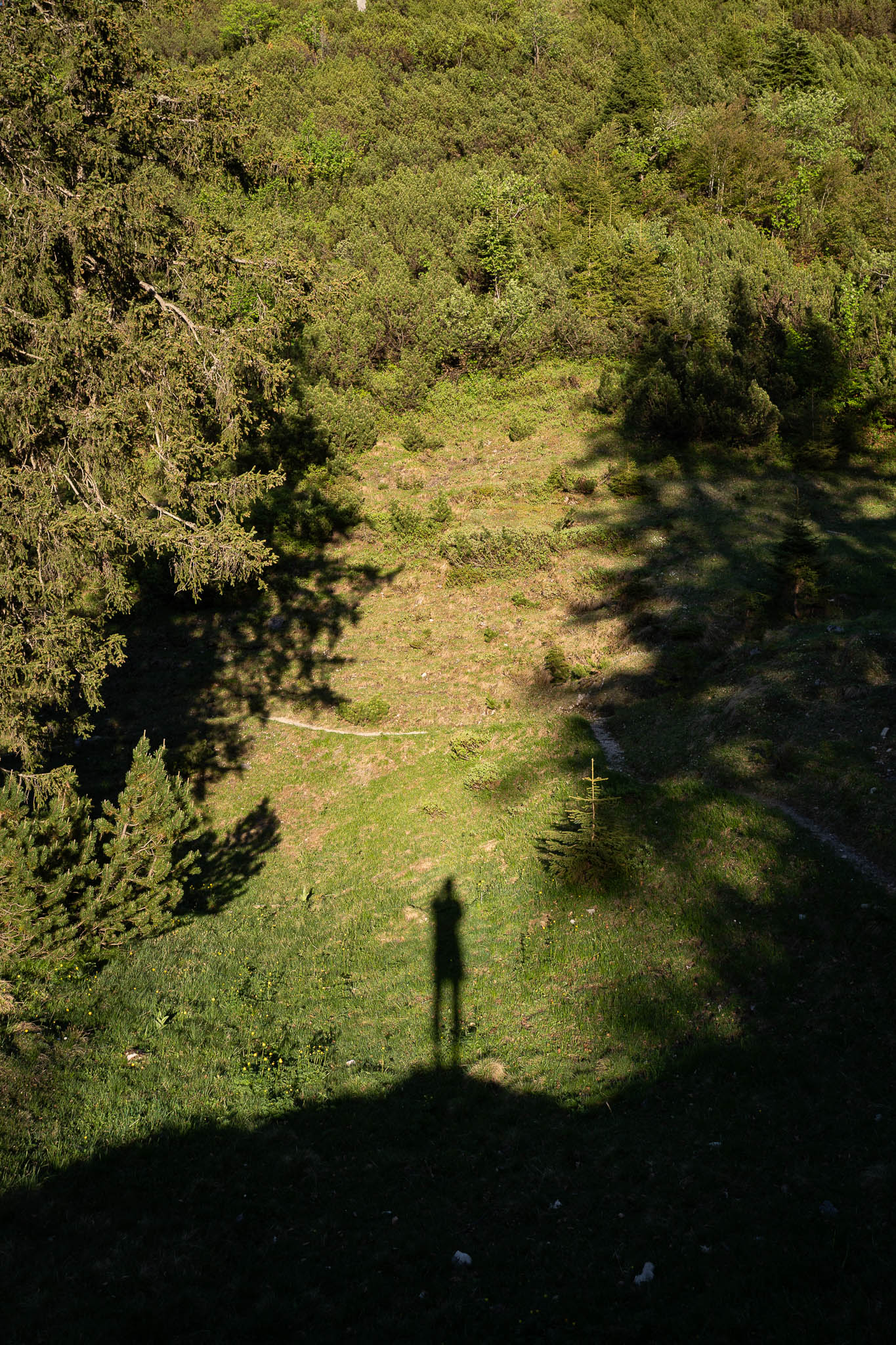 2026_06_Schildnstein_Web-5