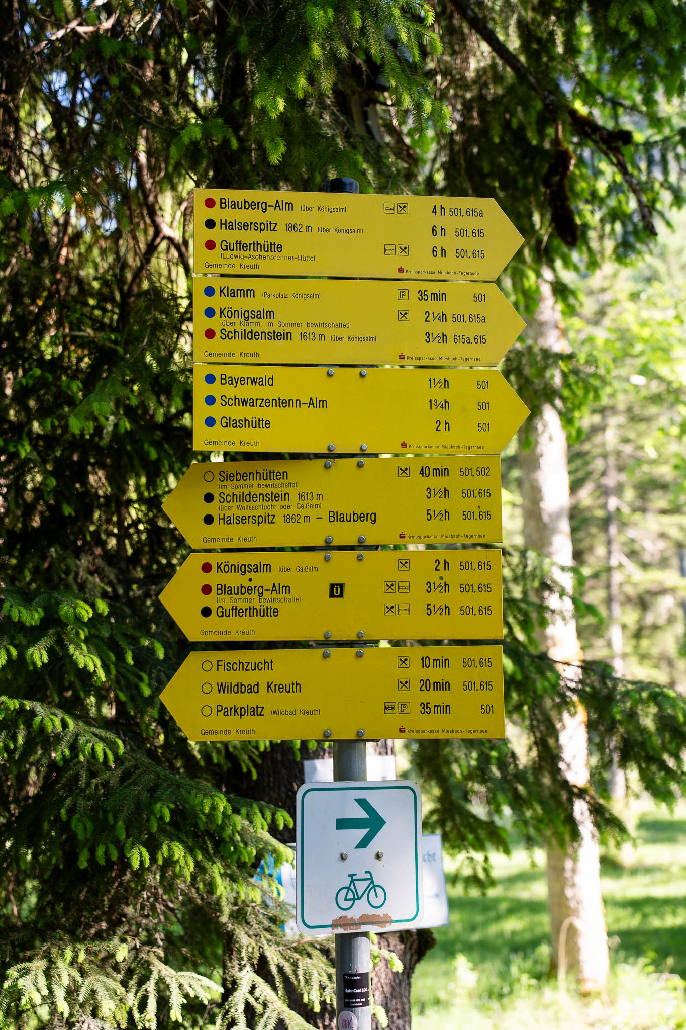 2026_06_Schildnstein_Web-60