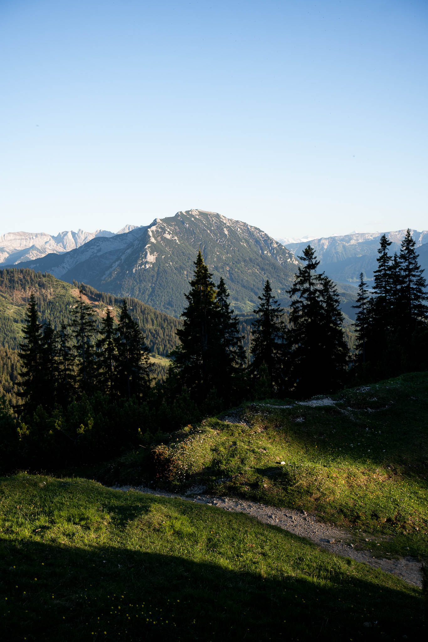 2026_06_Schildnstein_Web-84