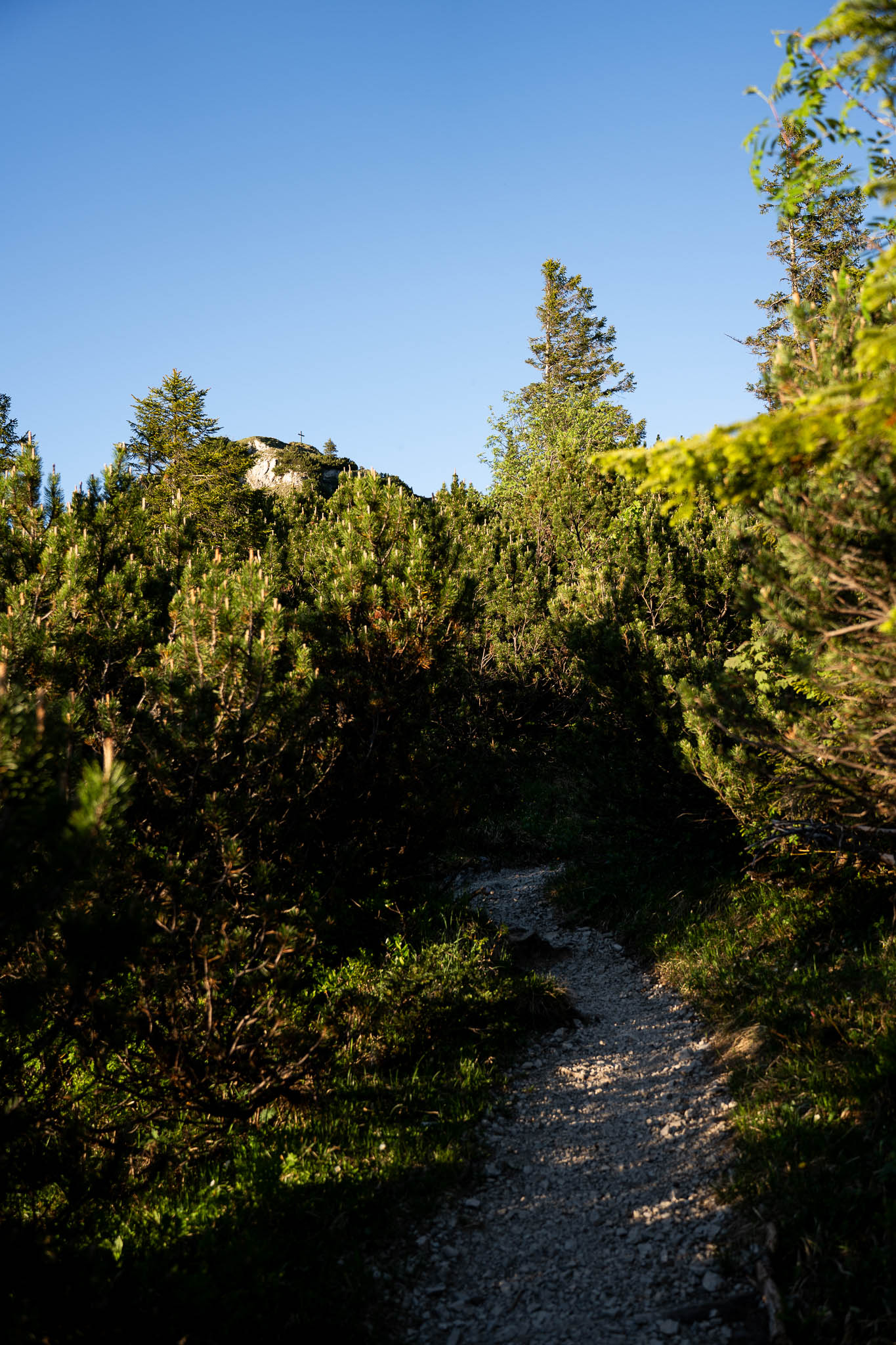 2026_06_Schildnstein_Web-85